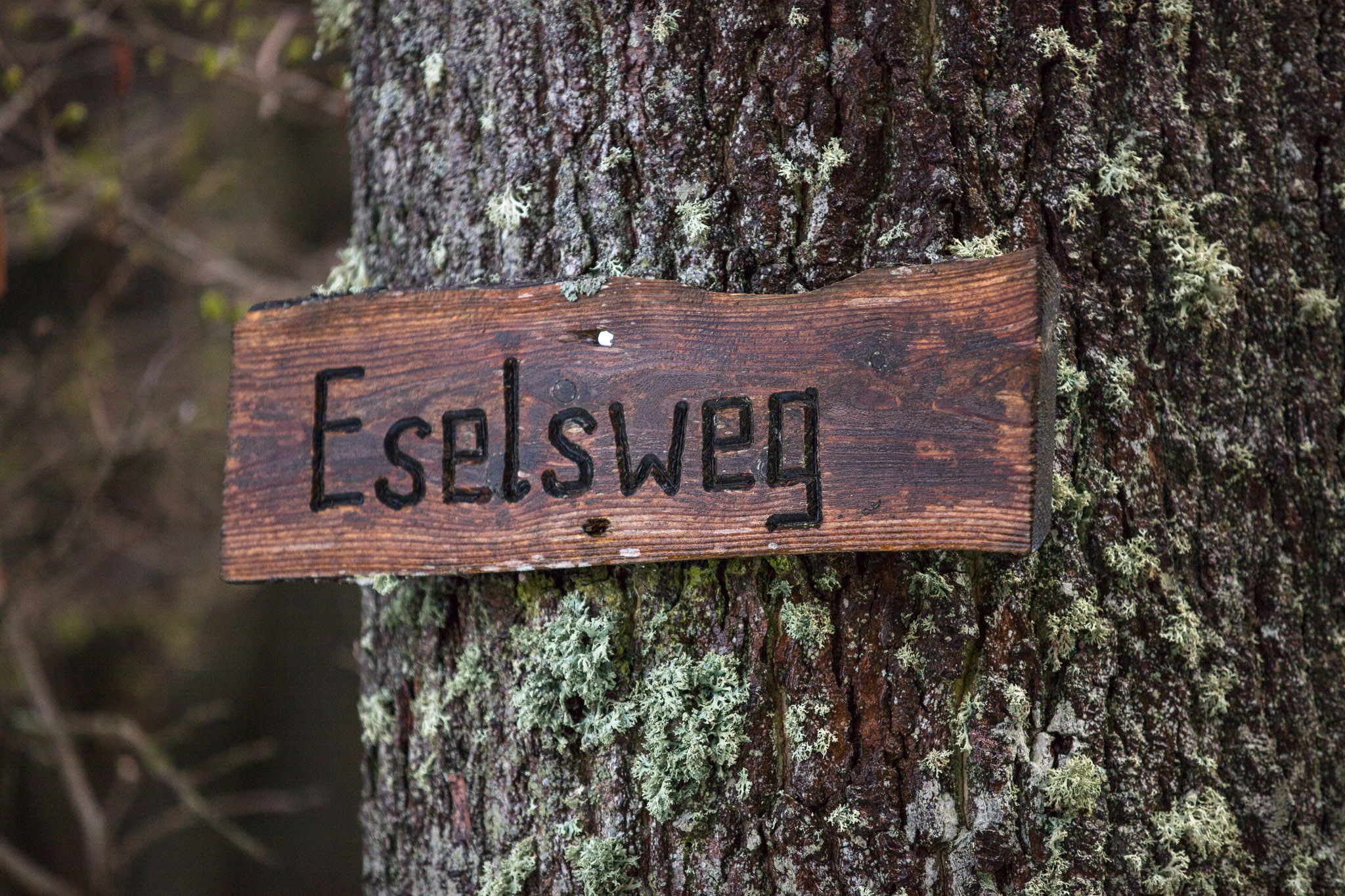 20220409143536 DP013960